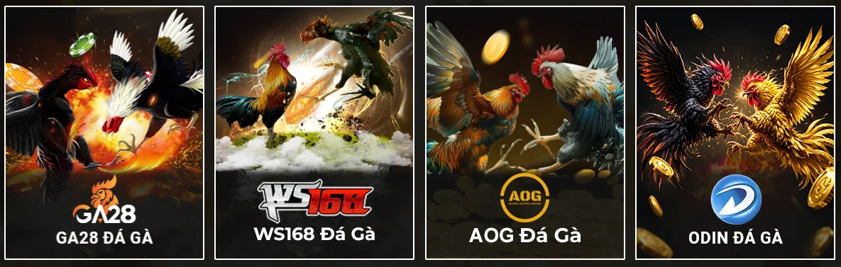 cockfighting games section and providers